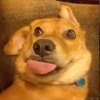 Profile Picture of Carol Mcgregor (@carolmcgregor_8487) on Tiktok