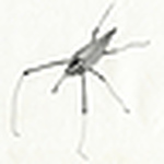 Profile Picture of chunder. (@chunder.) on Flickr