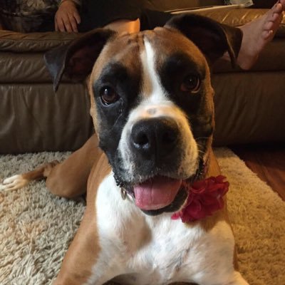 Profile Picture of Eric Seebach (@ESeebach) on Twitter