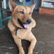 Profile Picture of Rachel Yap (@enshancatering) on Youtube