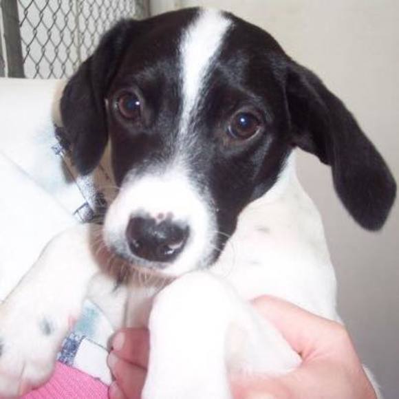 Profile Picture of Craig Lovell (@craiglvl) on Poshmark