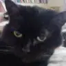 Profile Picture of theodorE ob (@theodoreob) on Tiktok