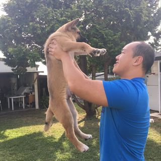 Steven Hui - Instagram Profile Picture of Steven Hui (@simplysteve__) on Instagram