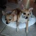 Profile Picture of Nancy Shipman (@nancy.shipman.146) on Facebook