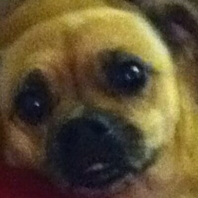 Profile Picture of Peyton Mcdaniel (@peytonmcdaniel4) on Twitter