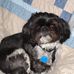 Profile Picture of Doris Lucas (@doris.lucas.7796) on Facebook