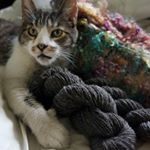 Profile Picture of Kim Xuan Nguyen (@quatzical) on Instagram