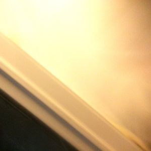 Profile Picture of Sam Grossman (@sam.grossman.92) on Myspace