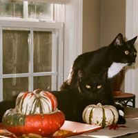 Profile Picture of Jonathan Grieser (@djgrieser) on Pinterest