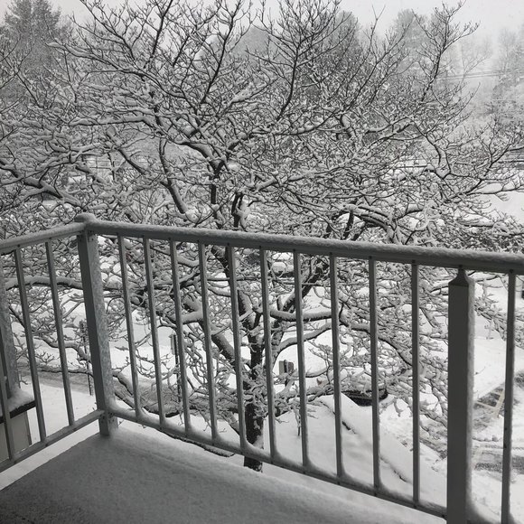 Profile Picture of Brendan Drennen (@brendandrennen) on Poshmark