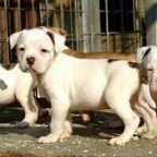 Profile Picture of Roberta Dambra (@robertadambra) on Instagram