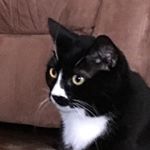 Profile Picture of Matthew Catalano (@matthewcatalano2003) on Instagram