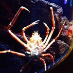 Profile Picture of Kyletisdale (@ky13t13da1e) on Instagram