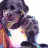 Profile Picture of James Burt (@jamesyburt) on Tiktok
