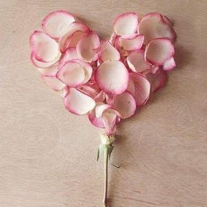 Amina Hasan - Twitter Profile Picture of Amina Hasan (@aminahasan671) on Twitter