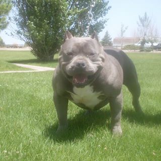 Profile Picture of Jon Vails (@jon.vails.5) on Facebook