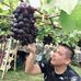 Profile Picture of Kelvin Phay (@kelvin.phay) on Facebook