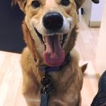 Profile Picture of Paul Osborne (@paul.osborne.39589) on Instagram