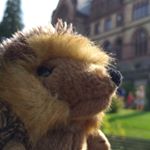 Profile Picture of John (@john_the_plush_hedgehog) on Instagram