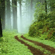 Profile Picture of Jigar Panchal (@naeemsana) on Youtube