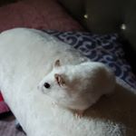 nancy salas - Instagram Profile Picture of nancy salas (@nancy_salas_88) on Instagram