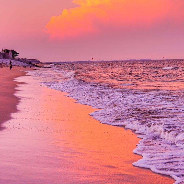 Profile Picture of Kimberly.Zhang (@davejggu55h) on Tiktok