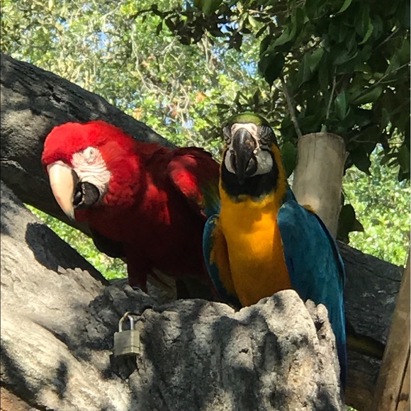 Profile Picture of Jessica Haffner (@haffner) on Poshmark