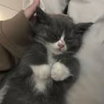 Profile Picture of Maureen Caulfield (@maureen.caulfield.94) on Facebook