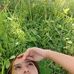 Profile Picture of Louie Salise (@louie.salise.16) on Facebook