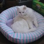 Profile Picture of Sheri Poole (@sheri.poole.12) on Instagram