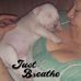 Profile Picture of Joyce Crouch (@joyce.crouch.9047) on Facebook