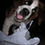 Profile Picture of Michael Parker (@Michael J. Parker) on Flickr