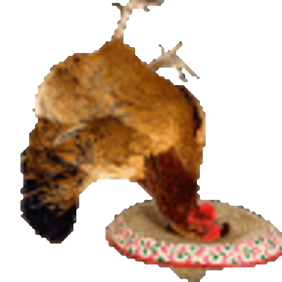 Profile Picture of John Kuhn (@jckuhn2024) on Poshmark