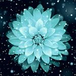 Profile Picture of Sameer Gupta (@sameergupta871) on Instagram
