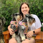 Profile Picture of Eloise 🐕 (@eloise_head) on Instagram