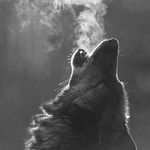 Profile Picture of Paweł (@pablo___conde) on Instagram