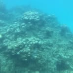 Profile Picture of Rick Graddy (@Rick-Graddy) on Facebook