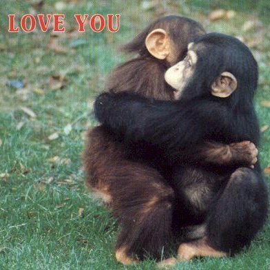 Profile Picture of Paul Schindler (@paulschindler2) on Twitter