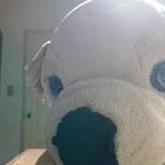 Profile Picture of Brian Hsieh (@__brianhsieh) on Instagram