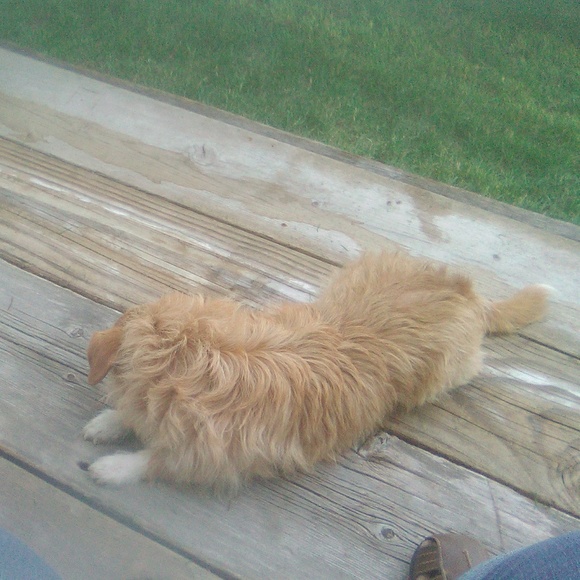 Profile Picture of Patricia Cheek (@sweetcheek1953) on Poshmark