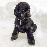 John Pinette - Instagram Profile Picture of John Pinette (@j.pinette) on Instagram