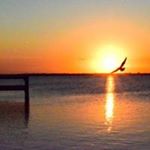 Profile Picture of Marilyn Saunders (@marilynsaunders47) on Instagram