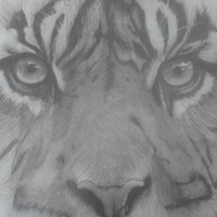 Profile Picture of Akil Joseph-daniel (@akil-joseph-daniel) on Quora