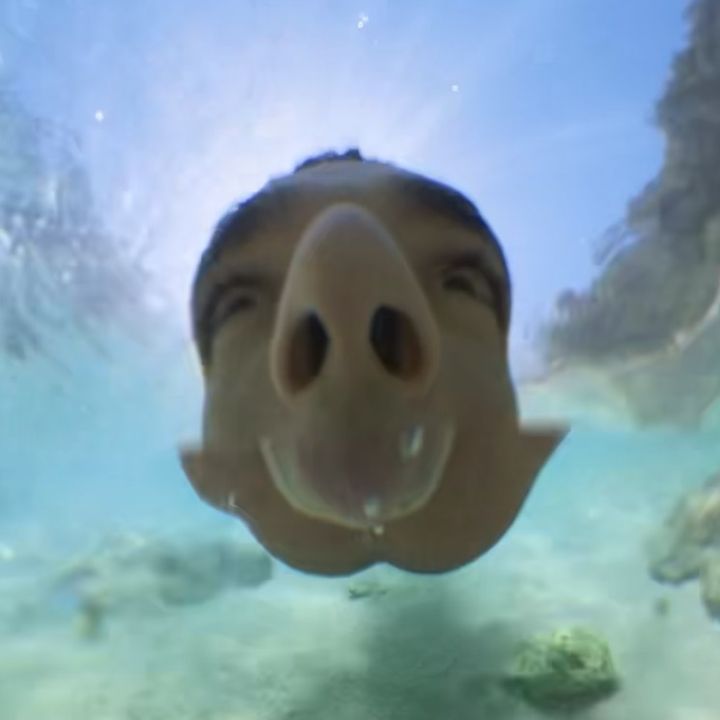 Profile Picture of   It's a touchy subject 😑... (@sebbylaz) on Tiktok