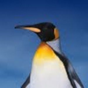 Profile Picture of Adam Trost530 (@awrrost) on Tiktok