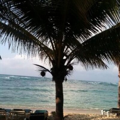 Profile Picture of Phyllis Mitchell (@PheMitch) on Twitter