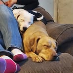 Profile Picture of Thomas Beauchamp (@thomas.beauchamp.733) on Facebook