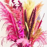 Profile Picture of Melanie Wegener (@casaunicaby.m) on Instagram