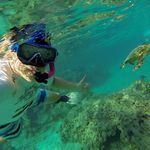 Profile Picture of Martin Kirchner (@martin.kirchner.7) on Instagram