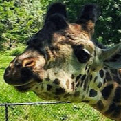 Profile Picture of Brian Sherry (@briansherry6227) on Youtube